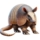 Tatus PNG , Tatus PNG , Animal Tatu, Tatu PNG Imagem para download gratuito